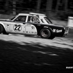 dzintara volga-5176